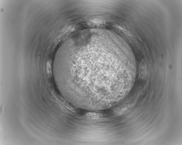 X0000087740699200705211012