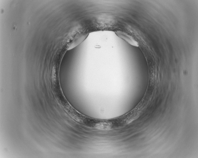 X0000087740700200705211012