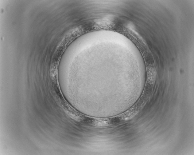 X0000087740701200705211012