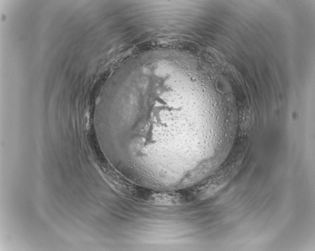 X0000087740703200705211012