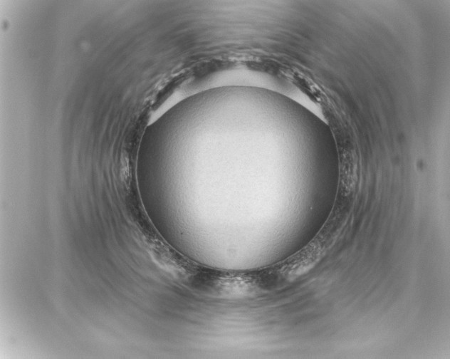 X0000087740704200705211012