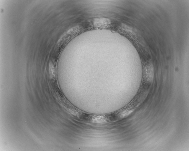 X0000087740705200705211012