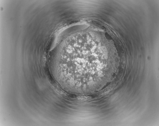 X0000087740707200705211012