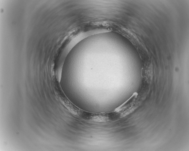 X0000087740708200705211012