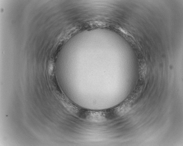 X0000087740709200705211012