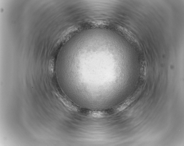 X0000087740710200705211012