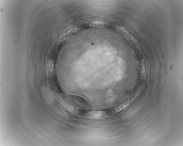 X0000087740711200705211012