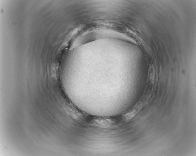 X0000087740712200705211012