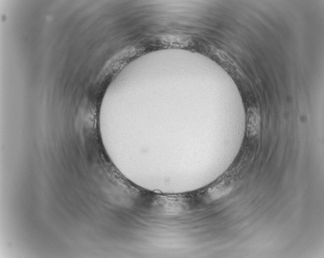 X0000087740713200705211012