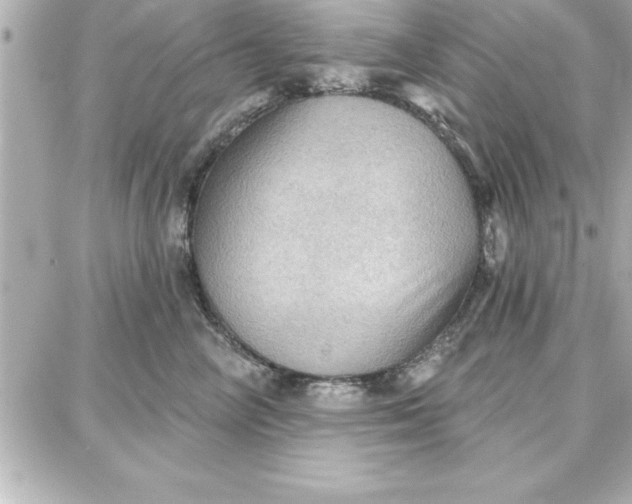 X0000087740714200705211012