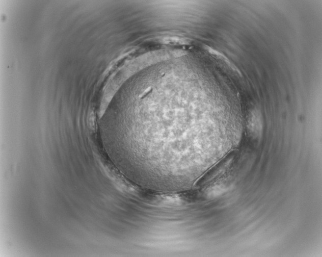 X0000087740715200705211012