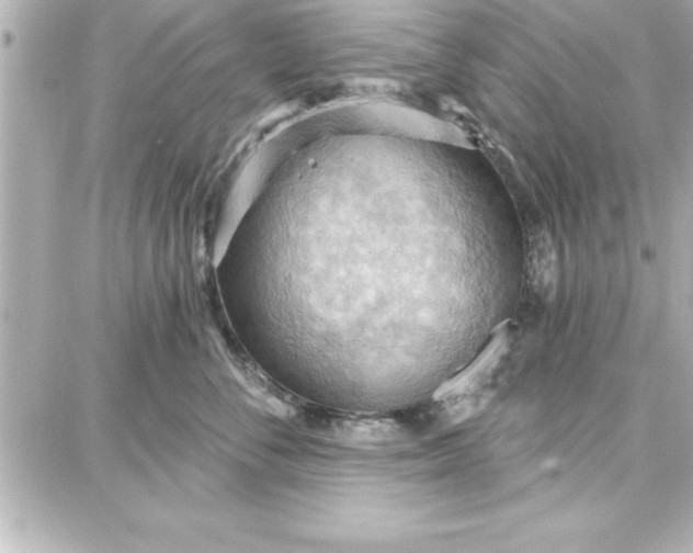 X0000087740716200705211012