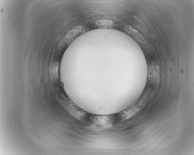 X0000087740717200705211012