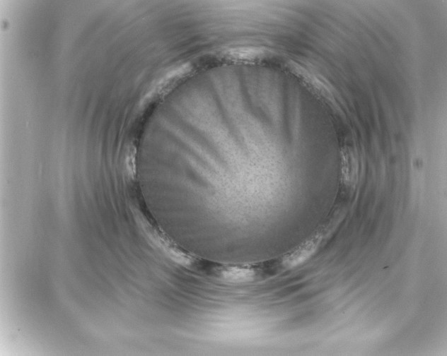 X0000087740718200705211012