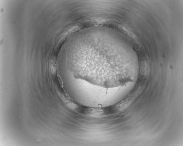 X0000087740719200705211012