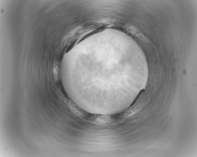 X0000087740720200705211012