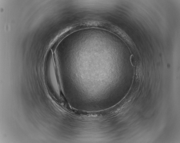 X0000087740722200705211011