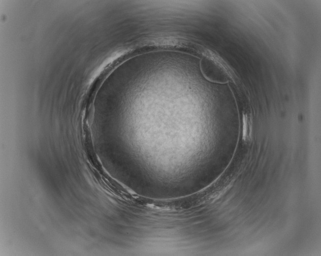 X0000087740723200705211011