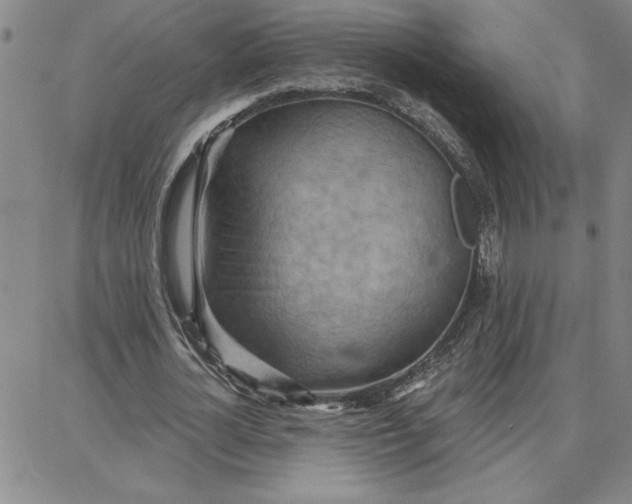 X0000087740724200705211011