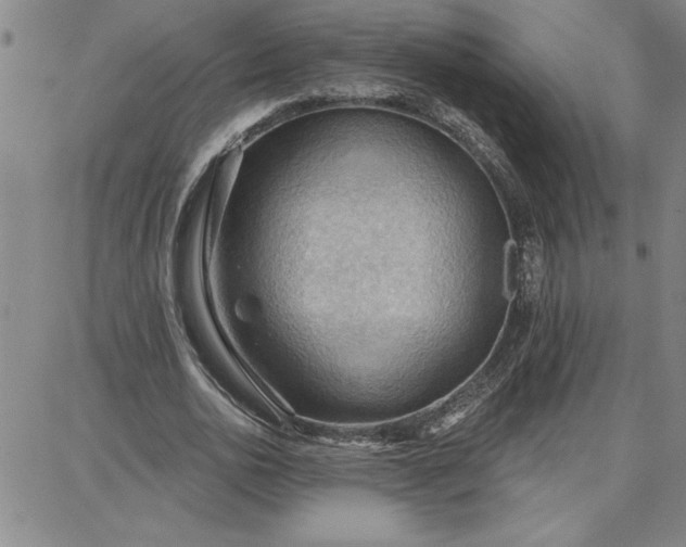 X0000087740726200705211011