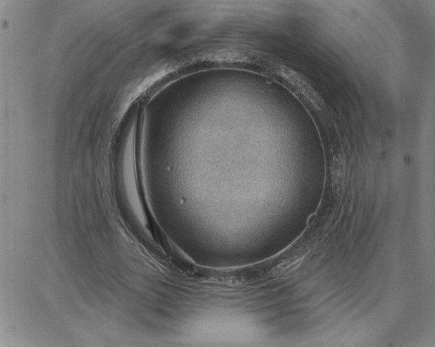 X0000087740727200705211011