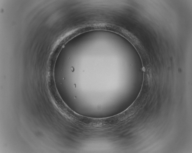 X0000087740728200705211011