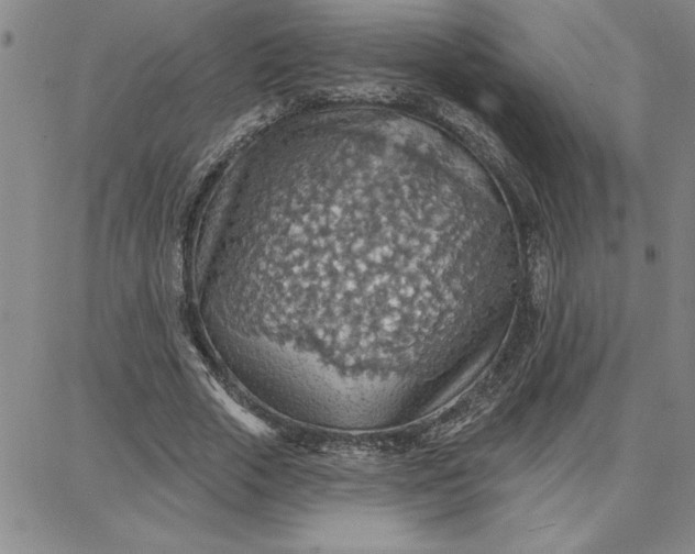 X0000087740729200705211012