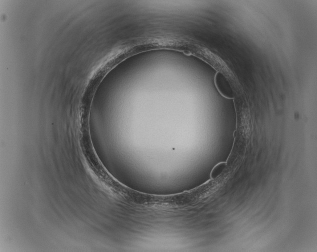 X0000087740730200705211012