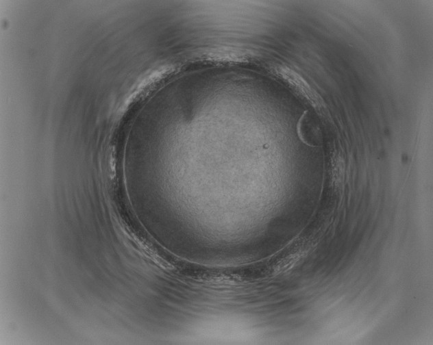 X0000087740731200705211012