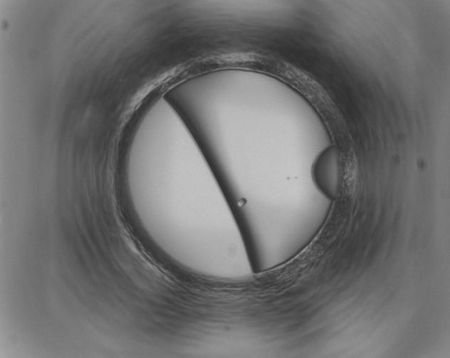 X0000087740732200705211012