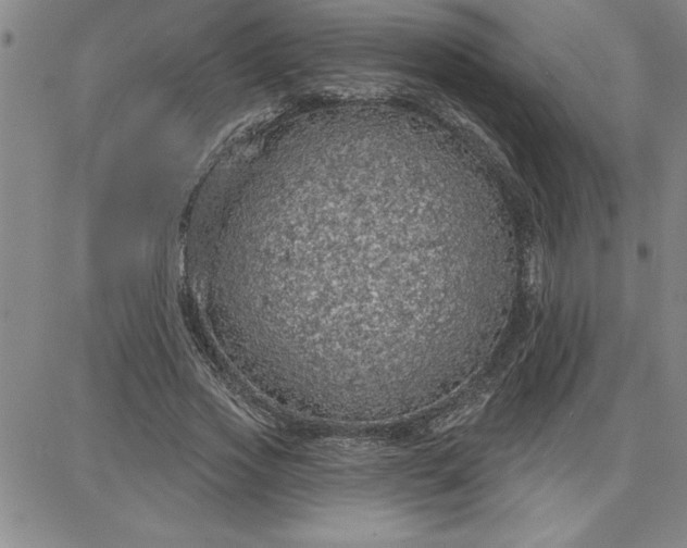 X0000087740733200705211012