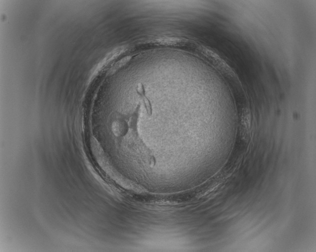 X0000087740734200705211012