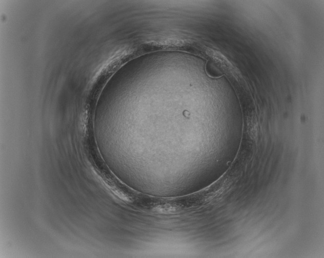 X0000087740735200705211012