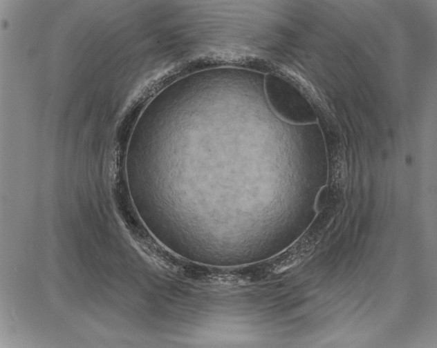 X0000087740736200705211012