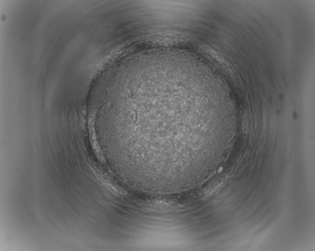 X0000087740737200705211012