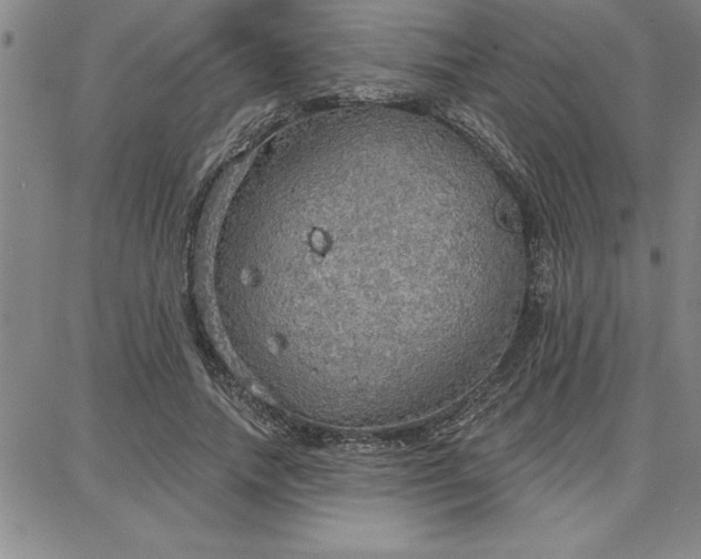 X0000087740738200705211012