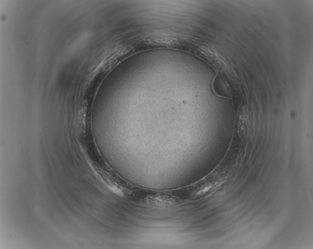 X0000087740739200705211012