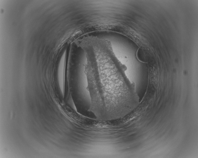 X0000087740742200705211012