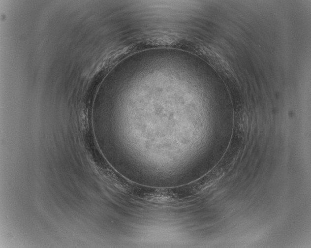 X0000087740743200705211012