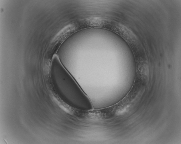 X0000087740744200705211012