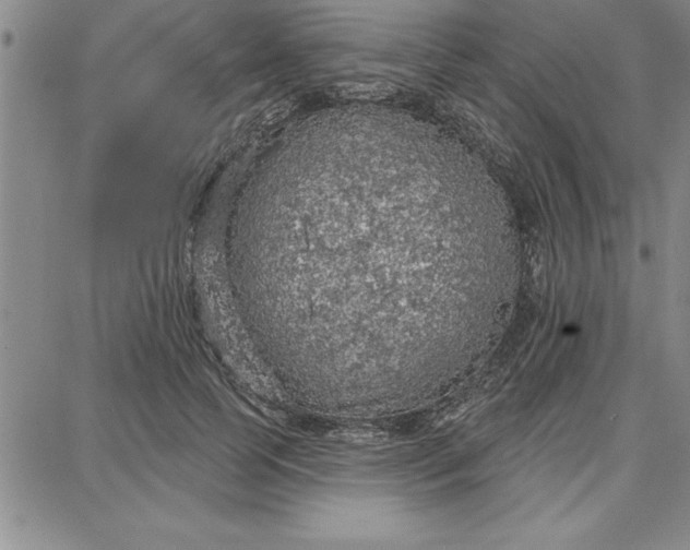 X0000087740745200705211012