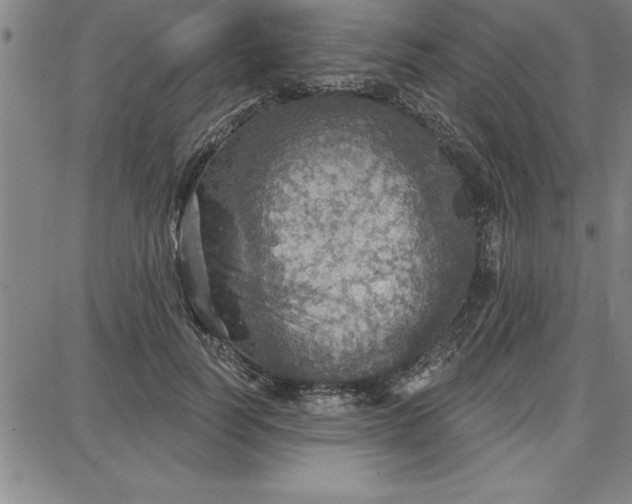 X0000087740746200705211012