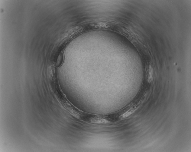 X0000087740747200705211012