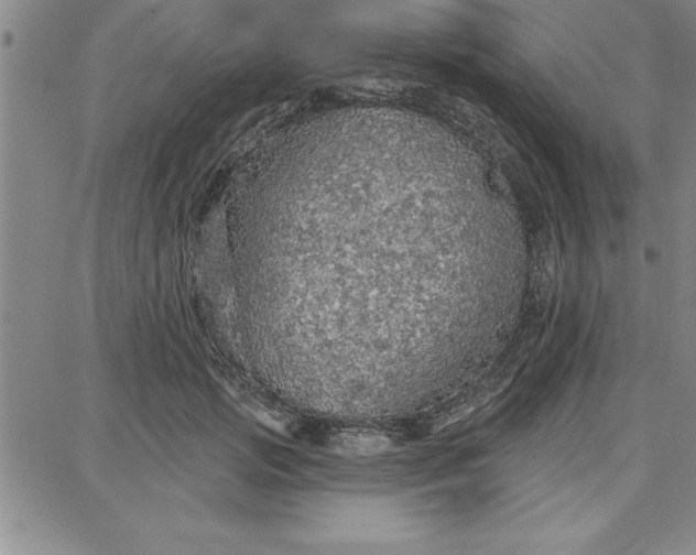 X0000087740749200705211012