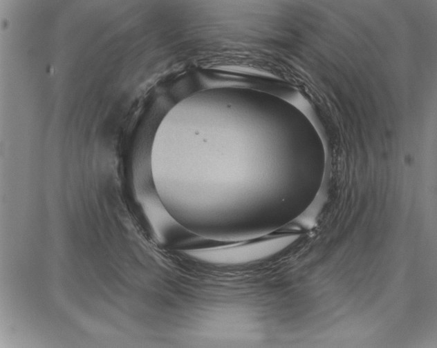 X0000087740750200705211012