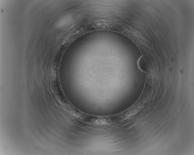 X0000087740751200705211012