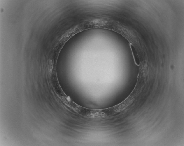 X0000087740752200705211012