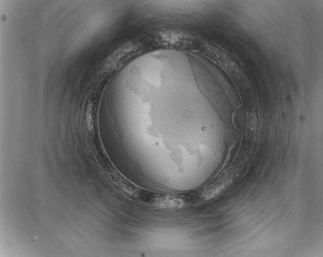 X0000087740754200705211012