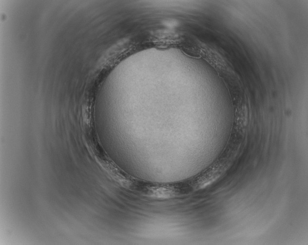 X0000087740755200705211012