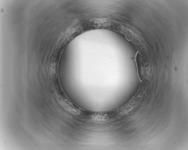 X0000087740756200705211012